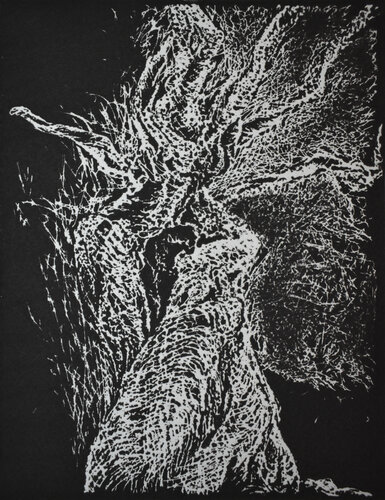 Uomo Albero (bianco su bistro) von Milena Nicosia, Druck kaufen auf Singulart