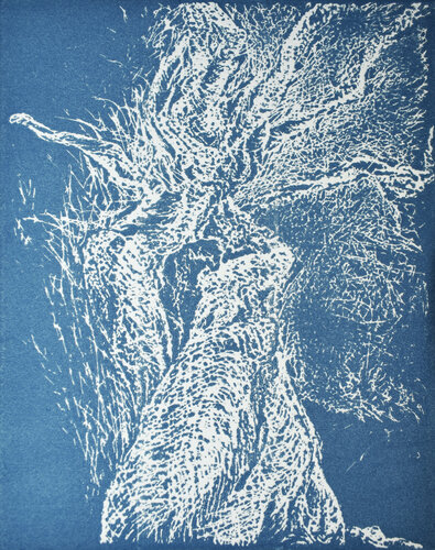 Uomo Albero (bianco su cielo) von Milena Nicosia, Druck kaufen auf Singulart