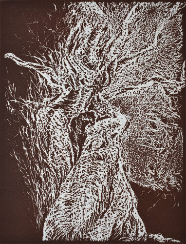 Uomo Albero (bianco su seppia) par Milena Nicosia, Édition en vente sur Singulart