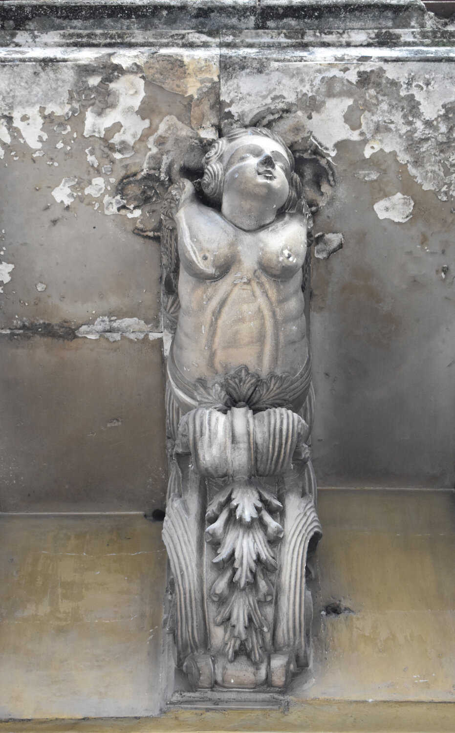 Angelo che sogna Milena Nicosia