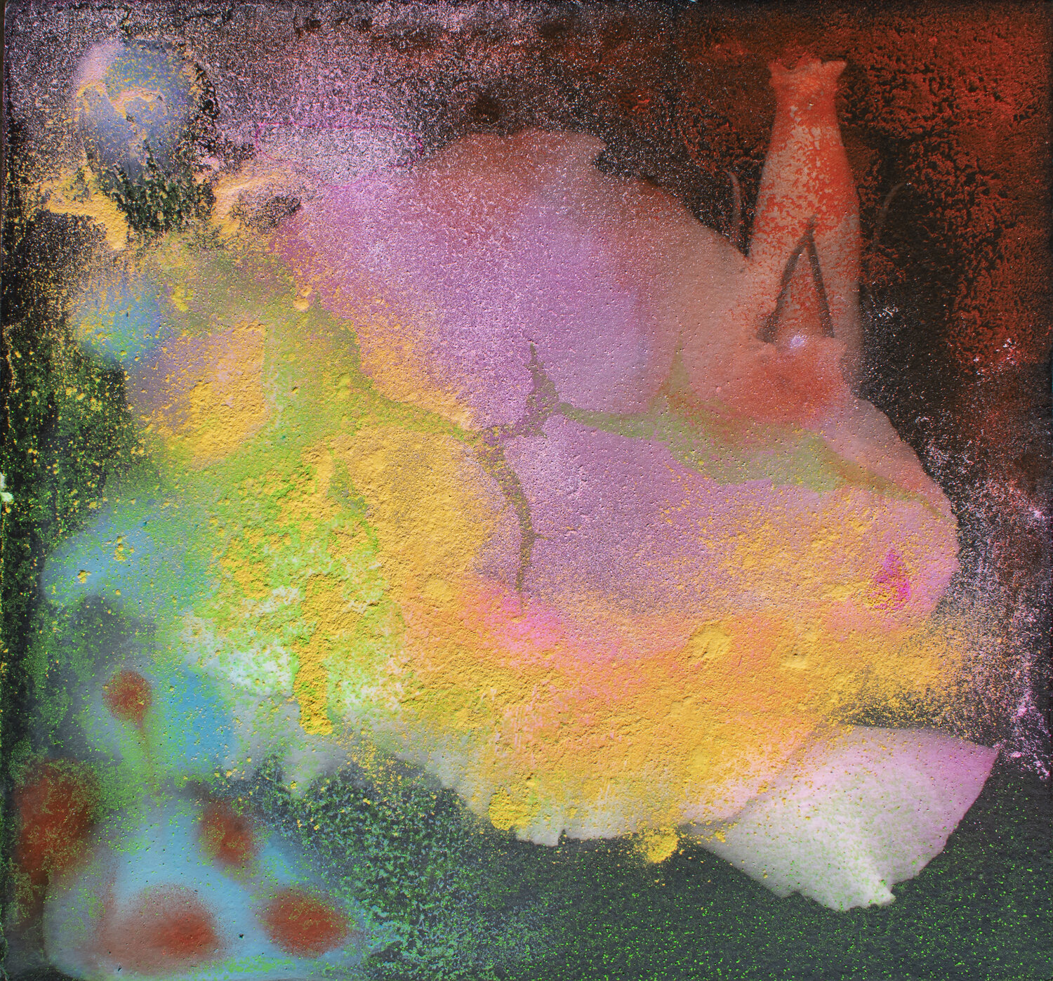 Fluorescent flower Milena Nicosia