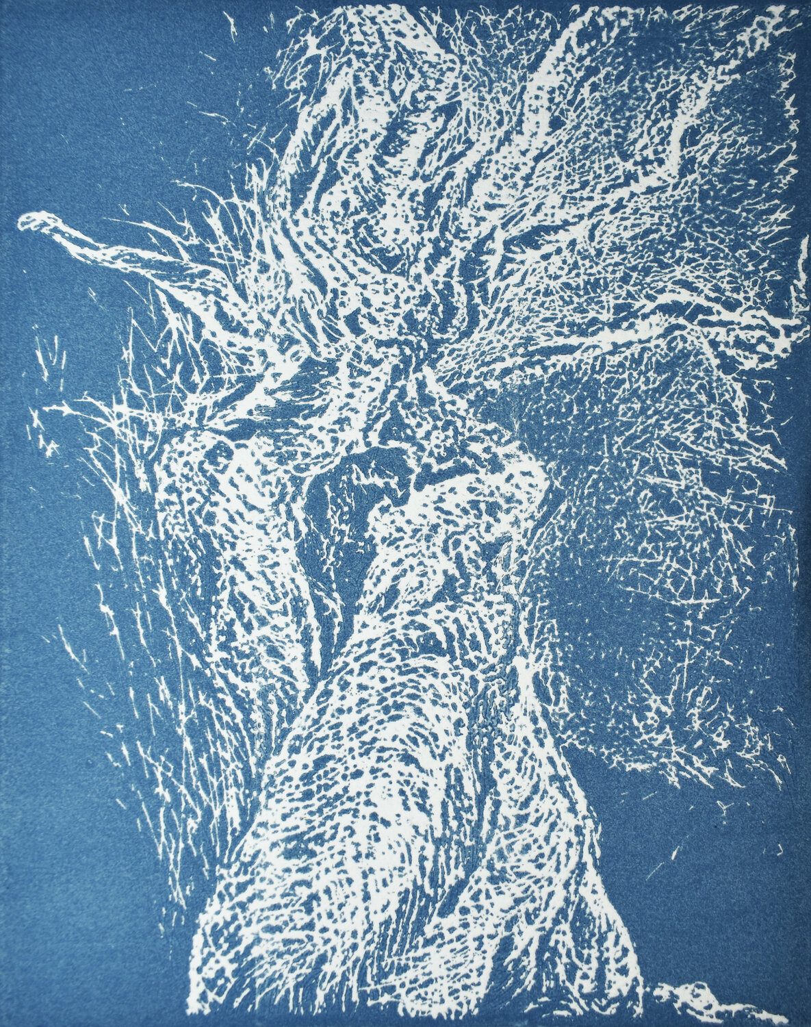 Uomo Albero (bianco su cielo) Milena Nicosia