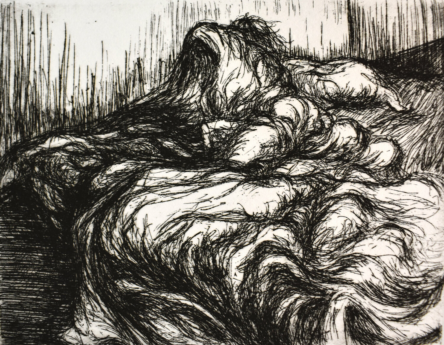 Abbandonato Milena Nicosia