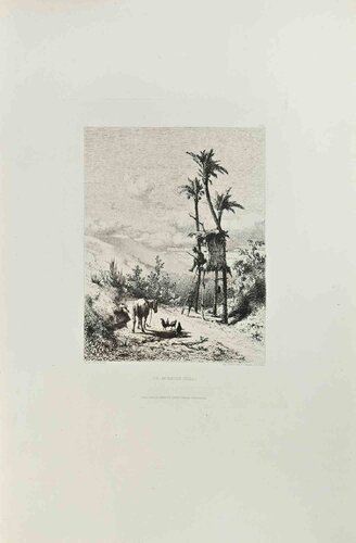 Un Mirador (Elche) von Paul Huet, Druck kaufen auf Singulart