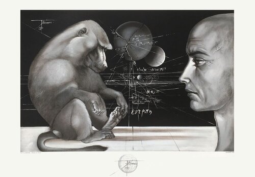 Visage au singe Pierre-Yves Trémois