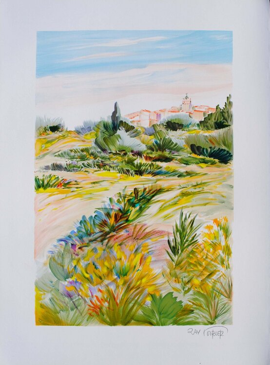 Provence magnifique Ray Poirier