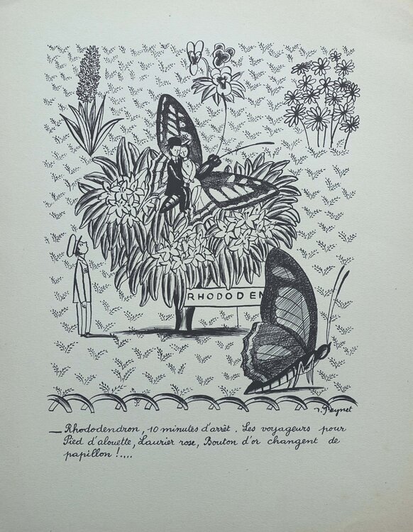 Le rhododendron Raymond Peynet