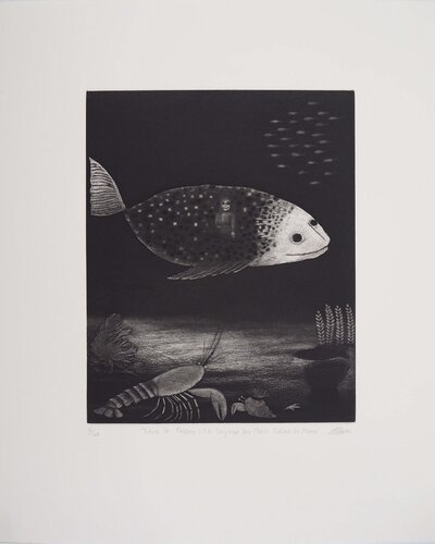 Dans le Poisson, le Voyage du Petit Soldat de Plomb, Gravure originale signée par Richard Davies, Édition en vente sur Singulart