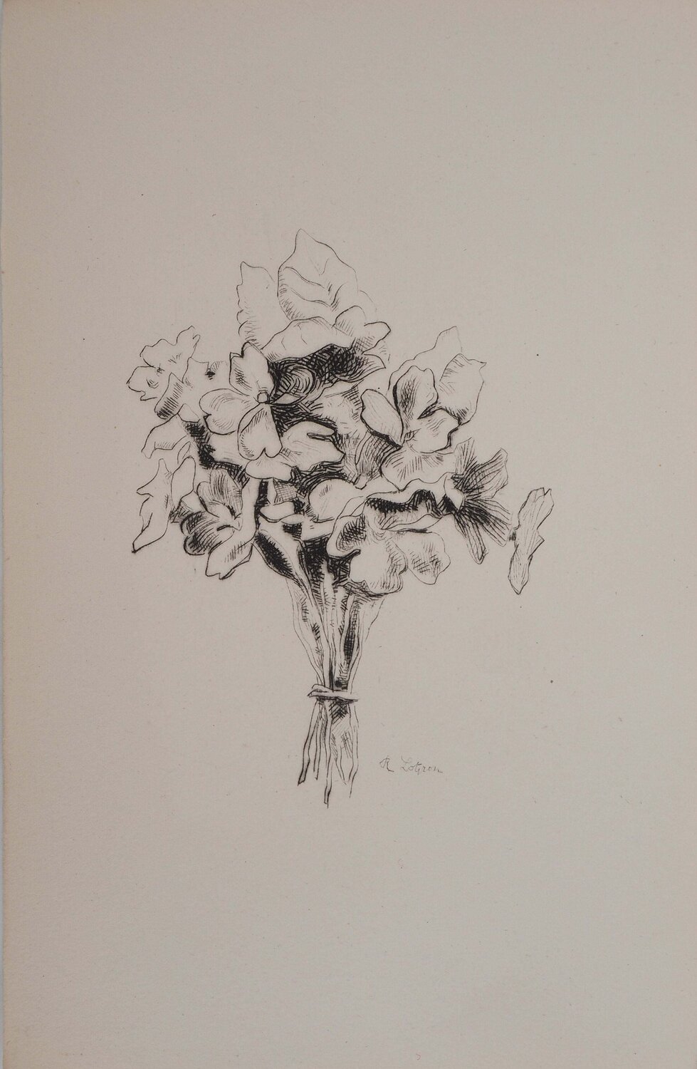 Le bouquet de fleurs blanches Robert Lotiron