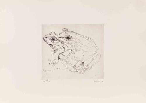 Frogs by Sergio Barletta, Print for Sale on Singulart