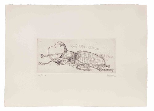 Mexican Beetle by Sergio Barletta, Print for Sale on Singulart