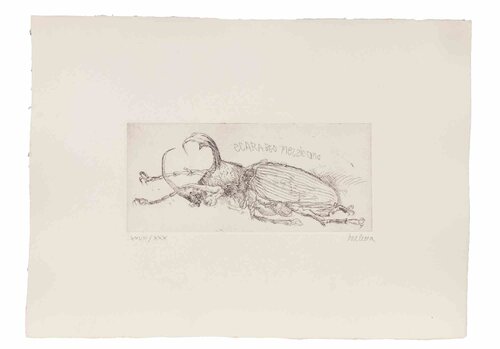 Mexican Beetle by Sergio Barletta, Print for Sale on Singulart