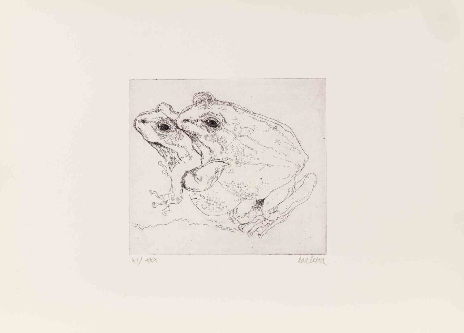 Frogs Sergio Barletta Stampa in vendita