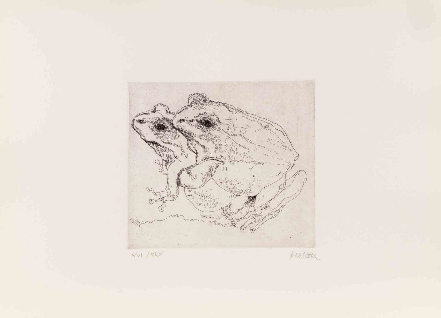 Frogs Sergio Barletta Stampa in vendita