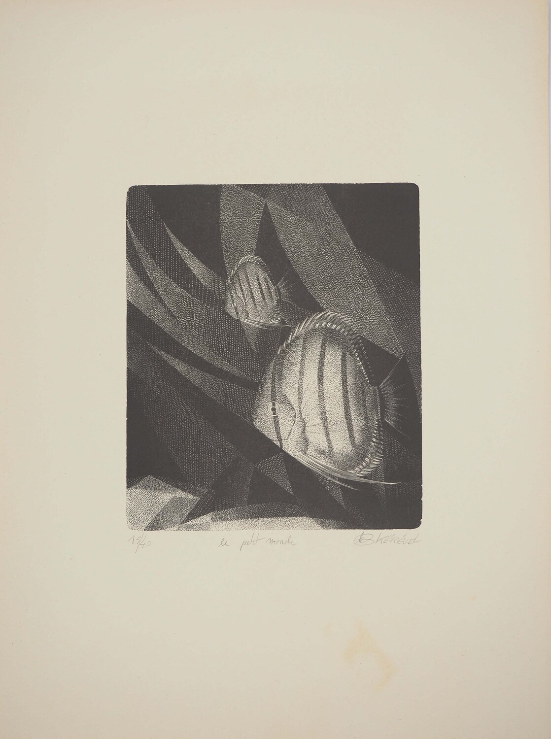 Poissons, Le petit monde de l'aquarium, Gravure originale signée Tiennick Kerevel Stampa in vendita