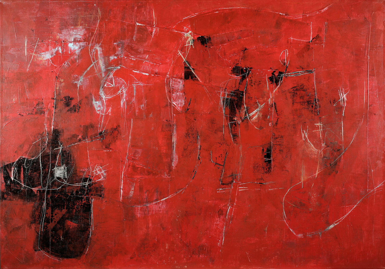 Ariadne Francesco D'Adamo