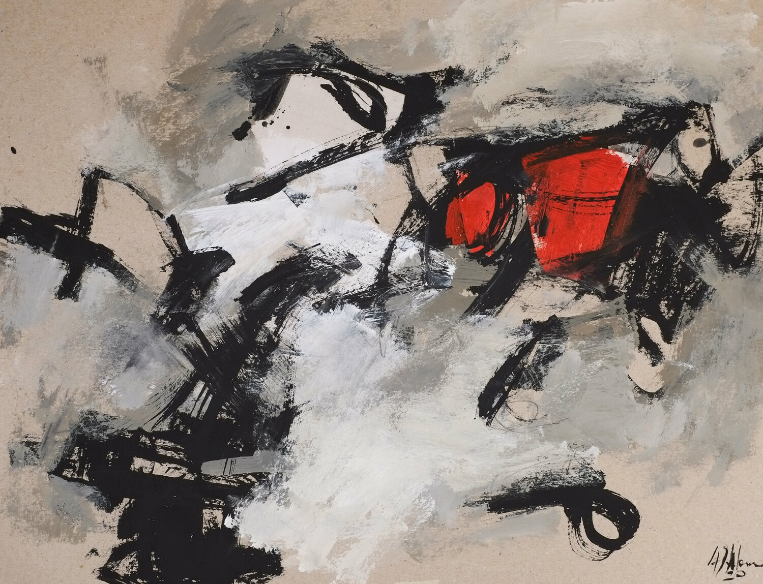 Greys n° 8 Francesco D'Adamo