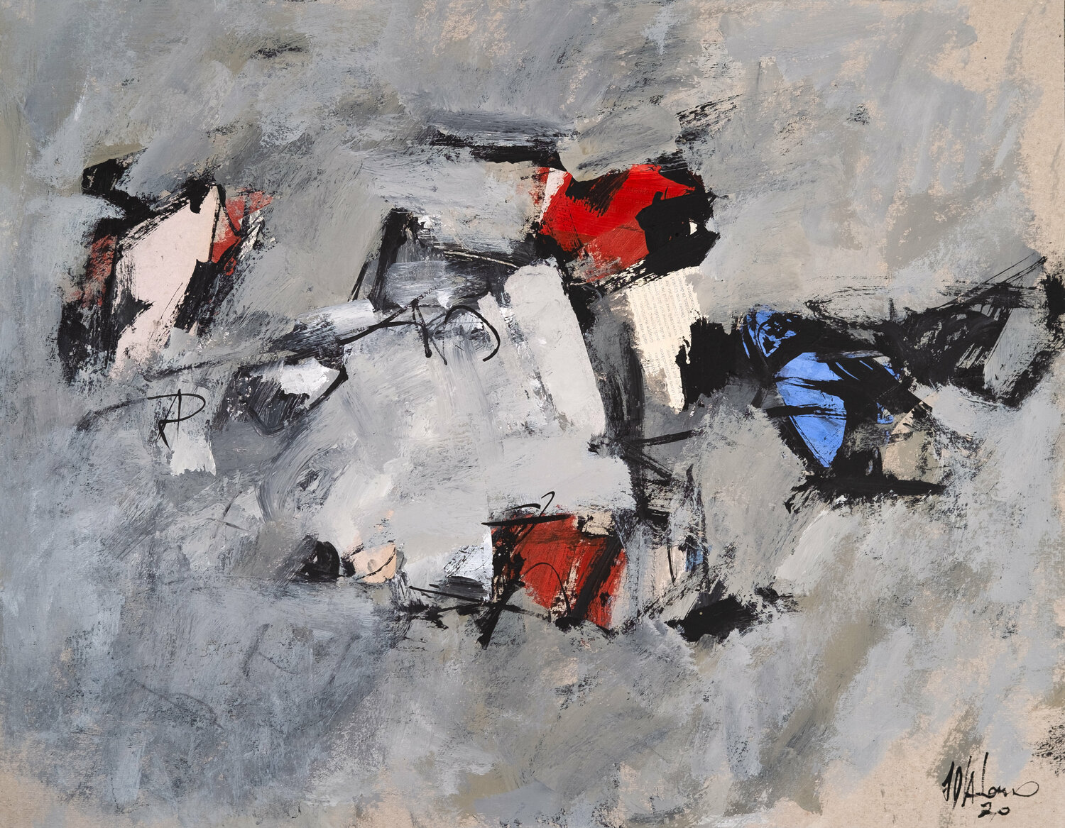 Greys n° 10 Francesco D'Adamo