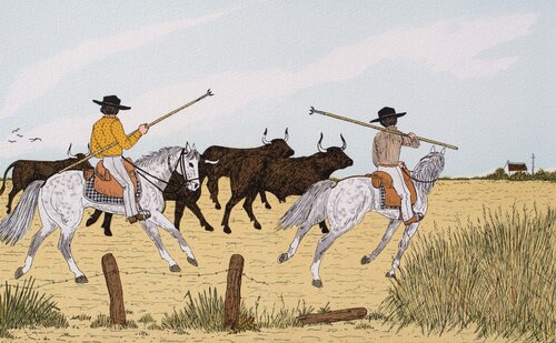 Guardian camarguais Vincent Haddelsey