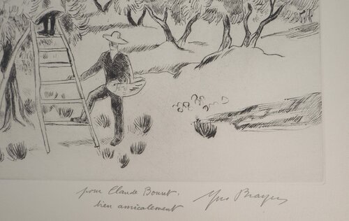 La récolte des olives en Provenc Yves Brayer