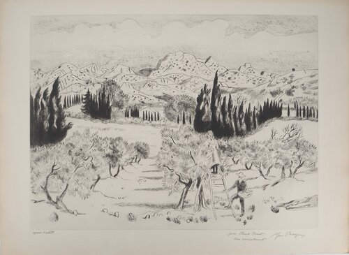 La récolte des olives en Provence, Gravure originale signée by Yves Brayer, Print for Sale on Singulart