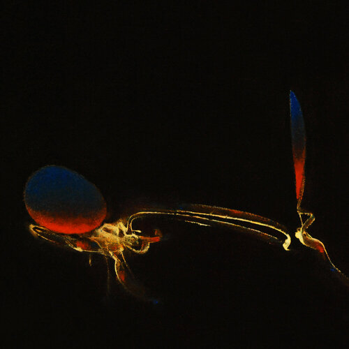 Abstract Study  #9 di Carolyn Adams, Pittura in vendita su Singulart