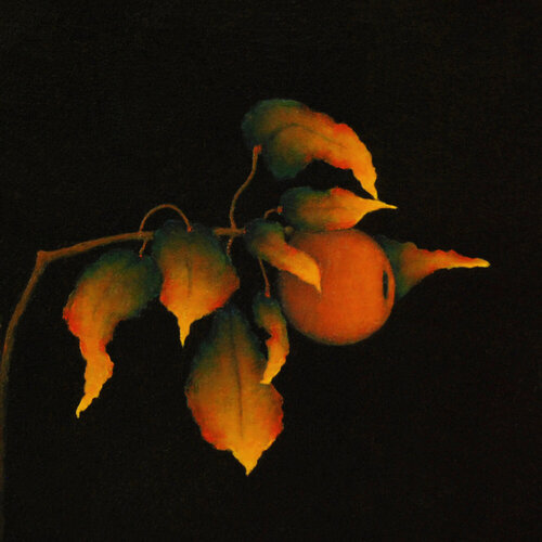 Small Apple Study Carolyn Adams