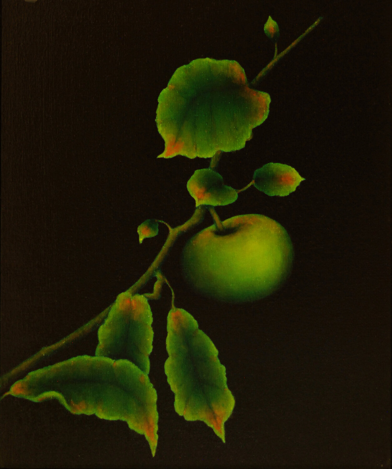 Green Apple Composition Carolyn Adams