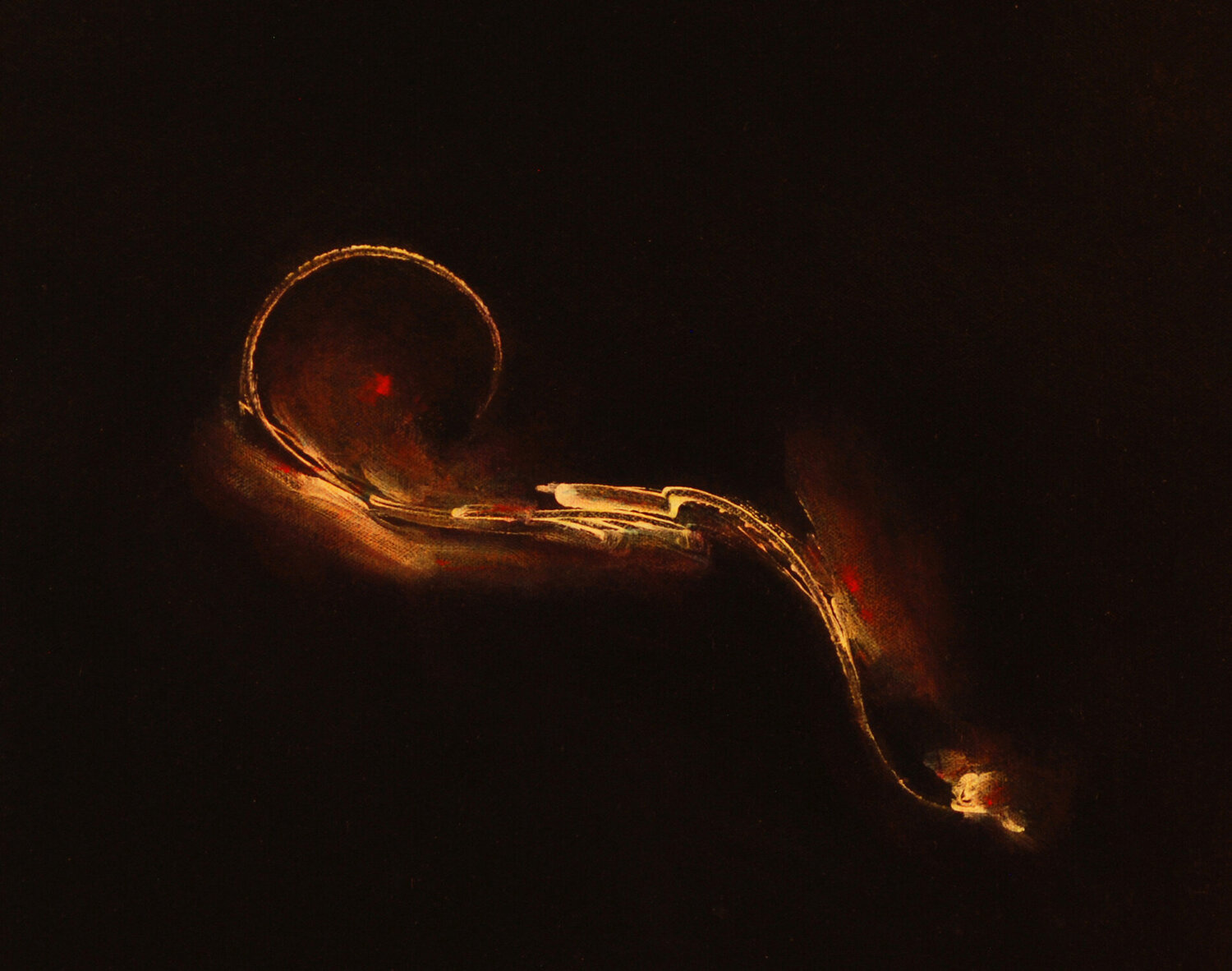 Traveler Carolyn Adams