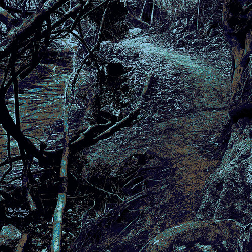 Monachil River. Granada Pablo Guillamon