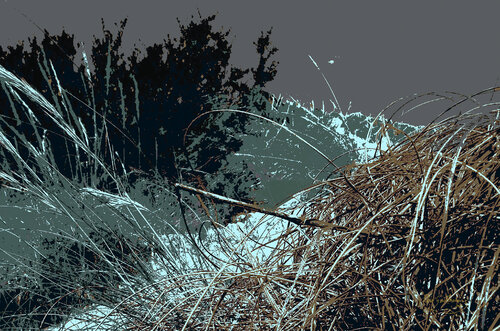 Hortillo-1 van Pablo Guillamon, Fotografie te koop op Singulart