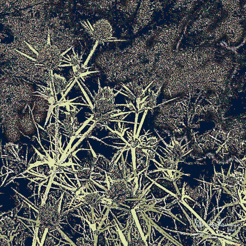 Bush field-2 van Pablo Guillamon, Fotografie te koop op Singulart