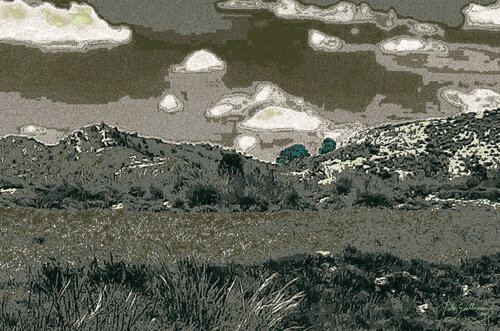 Bush field-4 de Pablo Guillamon, Fotografía a la venta en Singulart