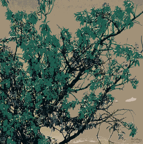 Autumn-1 van Pablo Guillamon, Fotografie te koop op Singulart