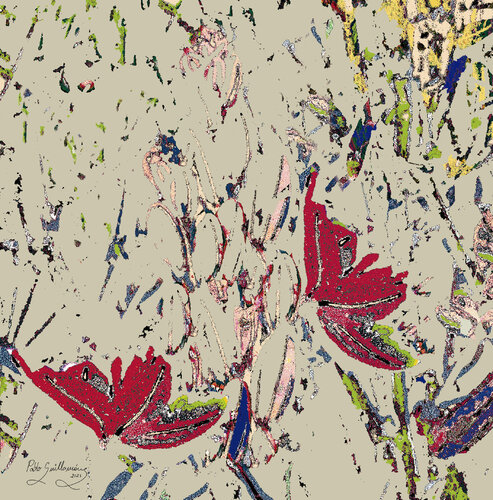 Dried Flowers-2-Digital Mosaic by Pablo Guillamon, Photography for Sale on Singulart