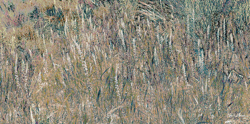Wild Flowers-5 by Pablo Guillamon, 사진 for Sale on Singulart
