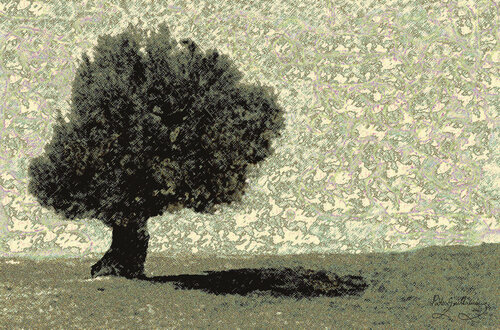 Lone Olive Tree van Pablo Guillamon, Fotografie te koop op Singulart
