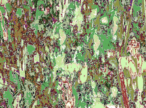 Mizala Forest-2 di Pablo Guillamon, Fotografia in vendita su Singulart