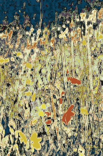 Mizala Forest-3 van Pablo Guillamon, Fotografie te koop op Singulart