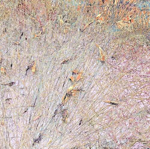 Mizala Forest-5 van Pablo Guillamon, Fotografie te koop op Singulart