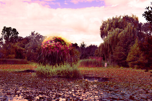 Le jardin ultraviolet van hugues rochette, Fotografie te koop op Singulart
