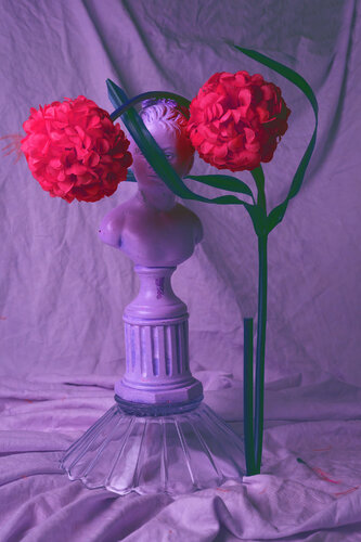 Les statues sont immortelles 5 von hugues rochette, Fotografie kaufen auf Singulart