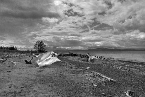 Le chant de Kamouraska von hugues rochette, Digital kaufen auf Singulart