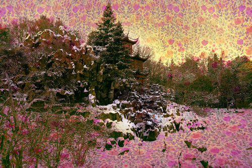 Fleuraison hivernale 3 von hugues rochette, Fotografie kaufen auf Singulart