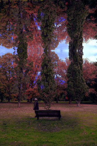 Le poète by hugues rochette, Photography for Sale on Singulart