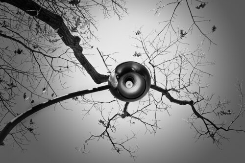 L'oeil de ma mère by hugues rochette, Photography for Sale on Singulart