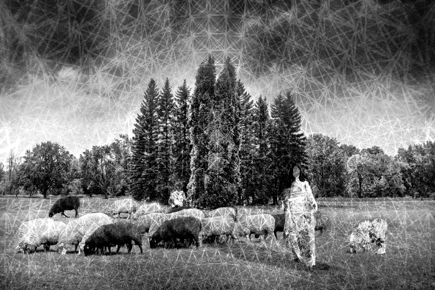 Tricoter au fil d'herbe hugues rochette Fotografie zu verkaufen