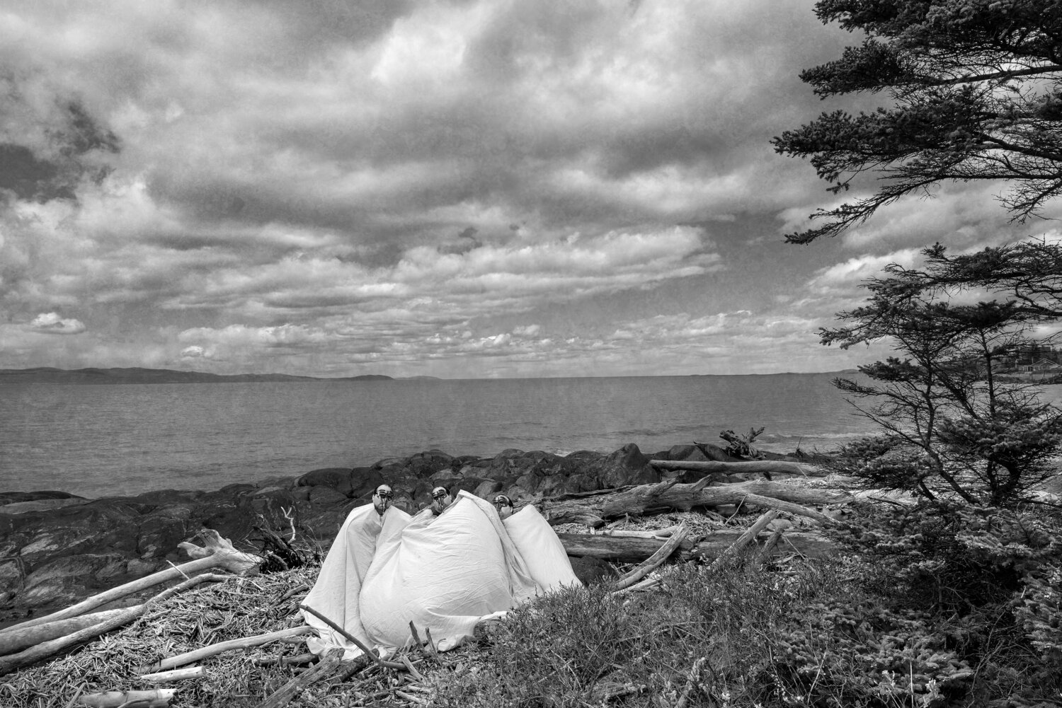 Les cardinaux en vacance hugues rochette