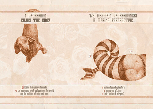 The Dachshund Chronicles Page 1 Dobri Gjurkov