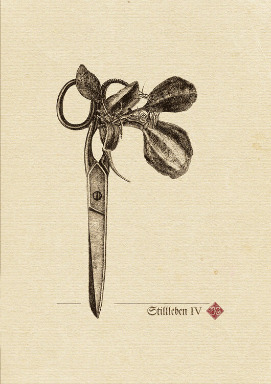 Still Life_A4_4_sepia Dobri Gjurkov